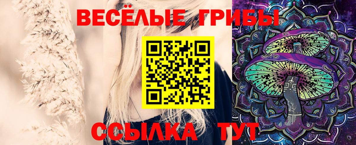 Галлюциногенные грибы мицелий  Вход с VPN  купить закладку  Махачкала 
